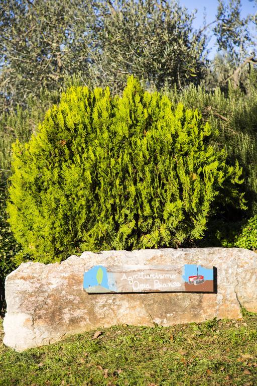 Villa Agriturismo Oria Bianca San Quirico dʼOrcia Exterior foto